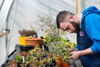 Horticulture at South Lanarkshire College